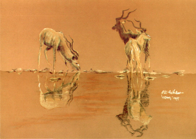 Bild Drei Kudus am Wasserloch von Uli Aschenborn